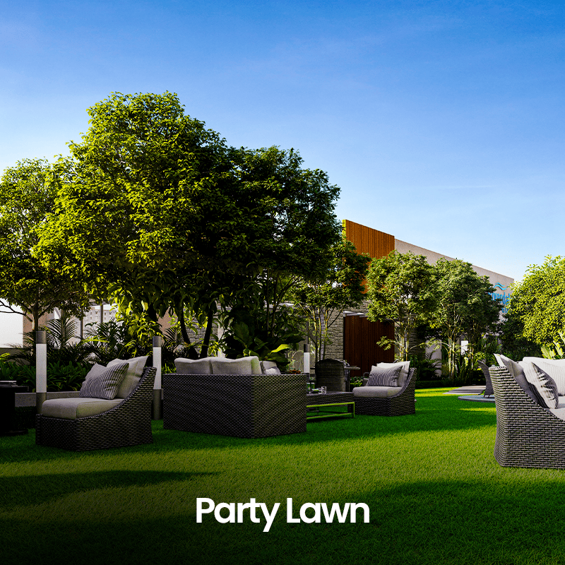 Party Lawn